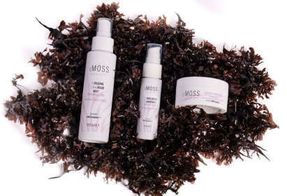 Beauty Bundle